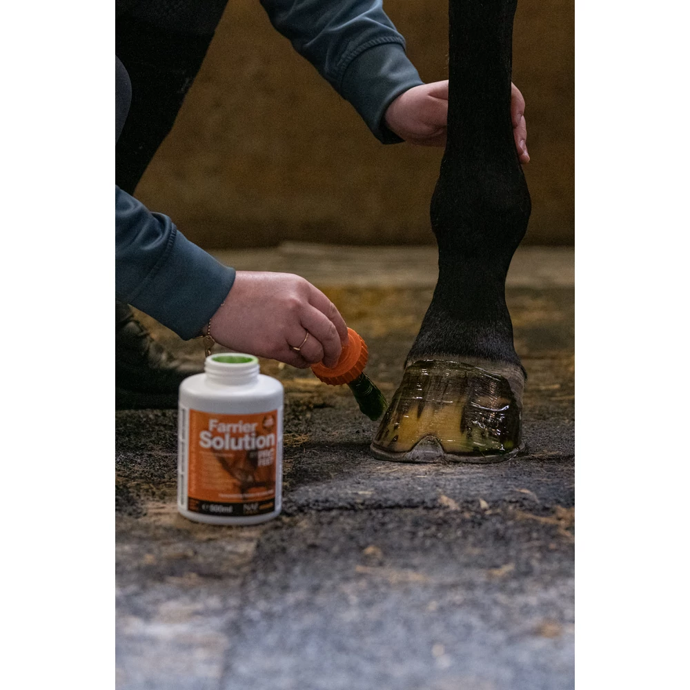 Farrier Solution 500ml - imagine 2