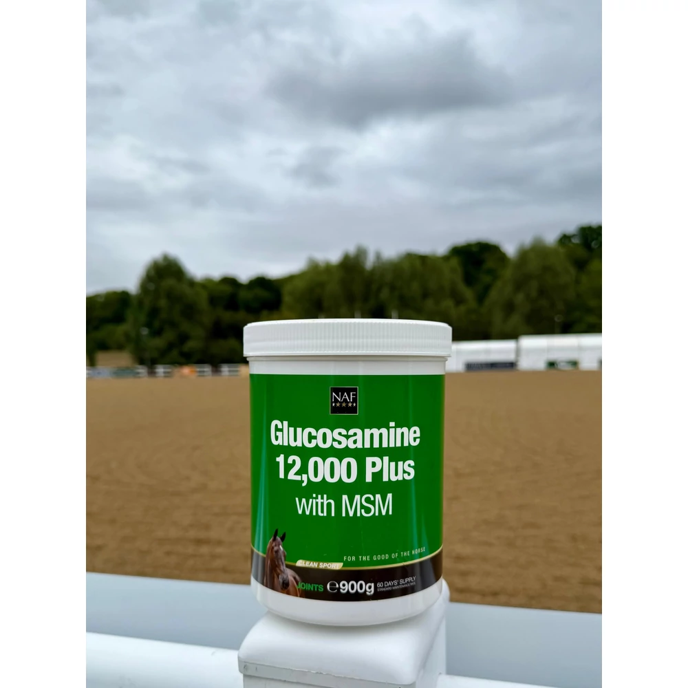 Glucosamine 12.000 Plus with MSM 900g - imagine 2