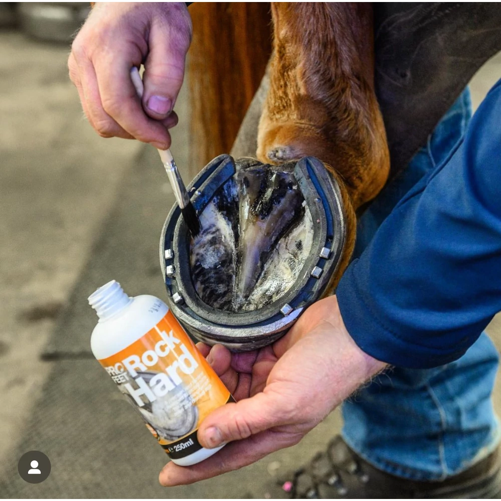 Rock Hard 250ml - imagine 2