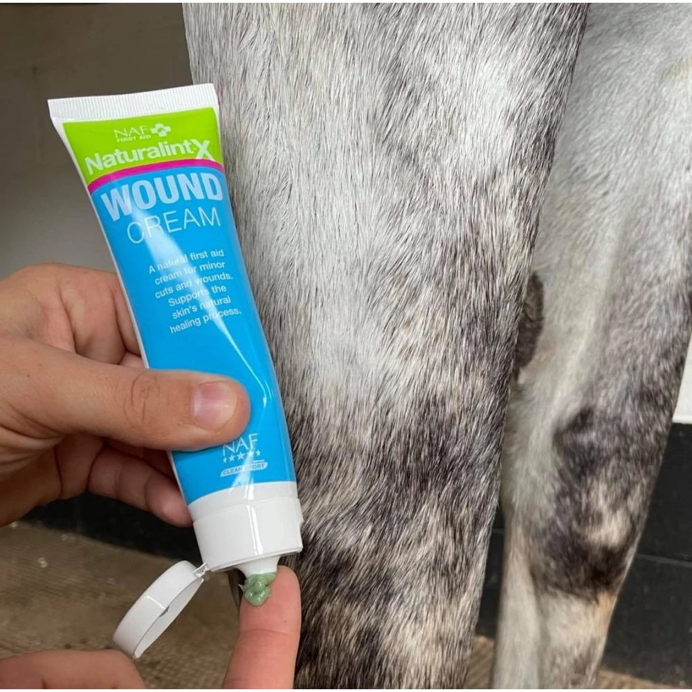 NaturalintX Wound Cream 100ml - imagine 2
