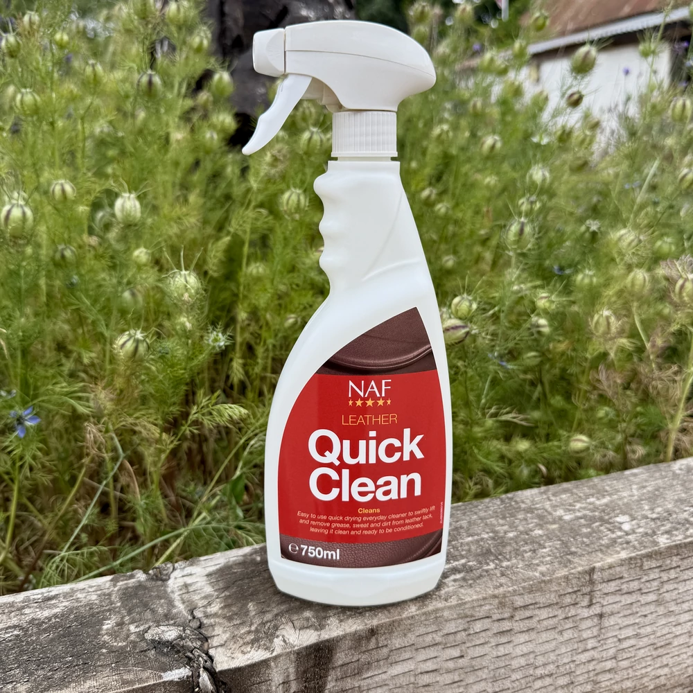 Spray de curățare rapidă Quick Clean 750 ml - Image 2