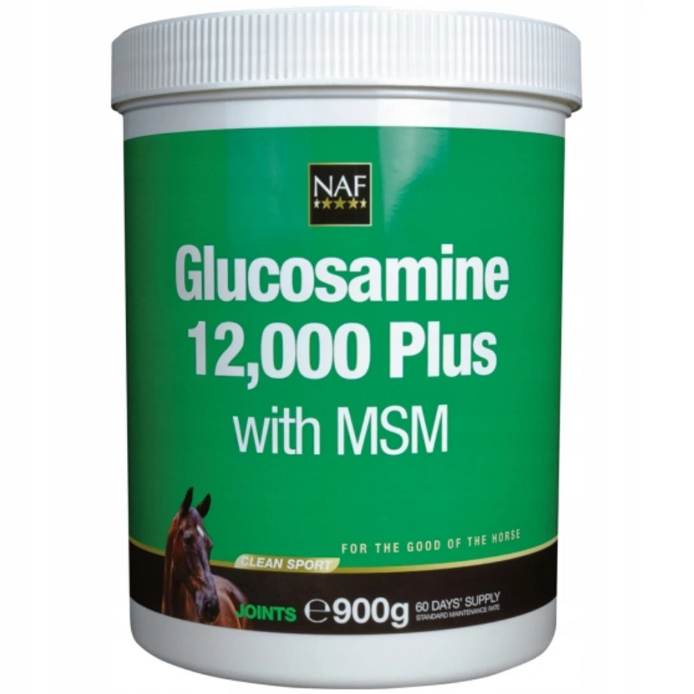 Glucosamine 12.000 Plus with MSM 900g