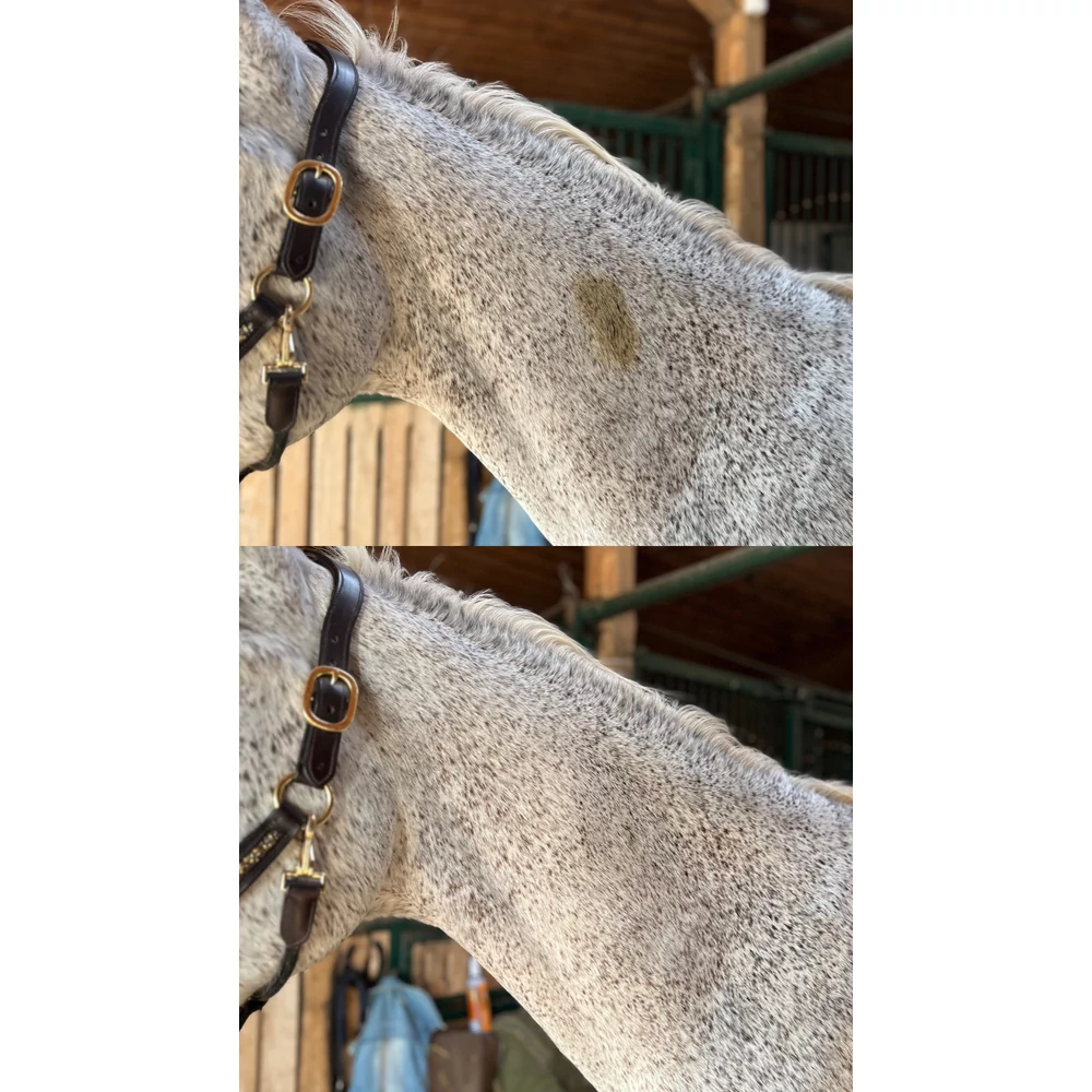 Muck Off – spray pentru îndepărtarea petelor, 500 ml - Image 3