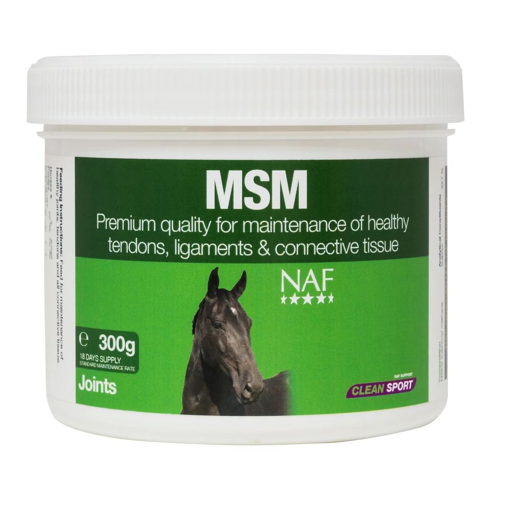 MSM powder 300g