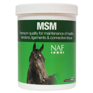 MSM powder 1 kg