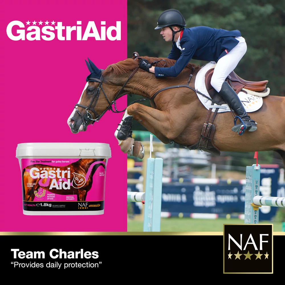 GastriAid Powder 1,8 kg - imagine 4