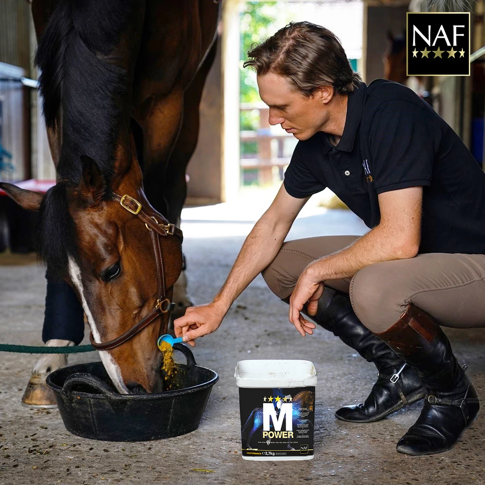 M Power 900gr - Image 2