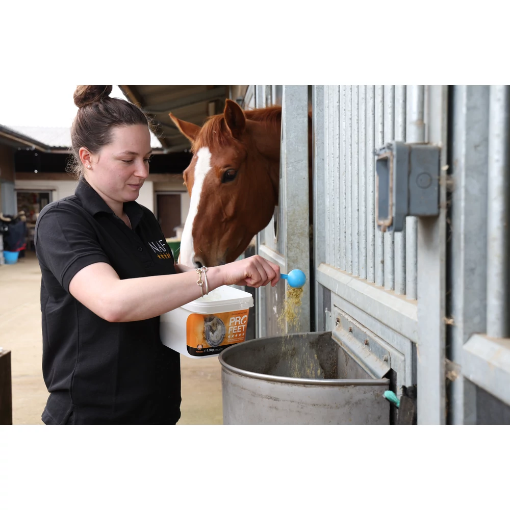 Pro Feet Powder 1,3kg - imagine 3