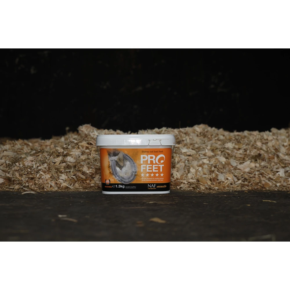 Pro Feet Powder 1,3kg - imagine 2